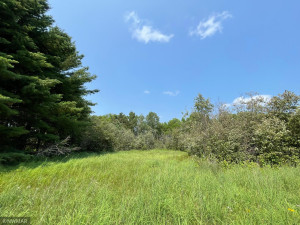 Photo for TBD Lot 27 Peninsula Court NE, Bemidji, MN 56601 - Listing #6027901 TBD Lot 27 Peninsula Court NE, Bemidji, MN 56601