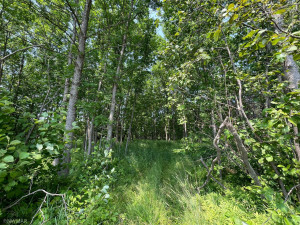 Photo for TBD Lot 27 Peninsula Court NE, Bemidji, MN 56601 - Listing #6027901 TBD Lot 27 Peninsula Court NE, Bemidji, MN 56601