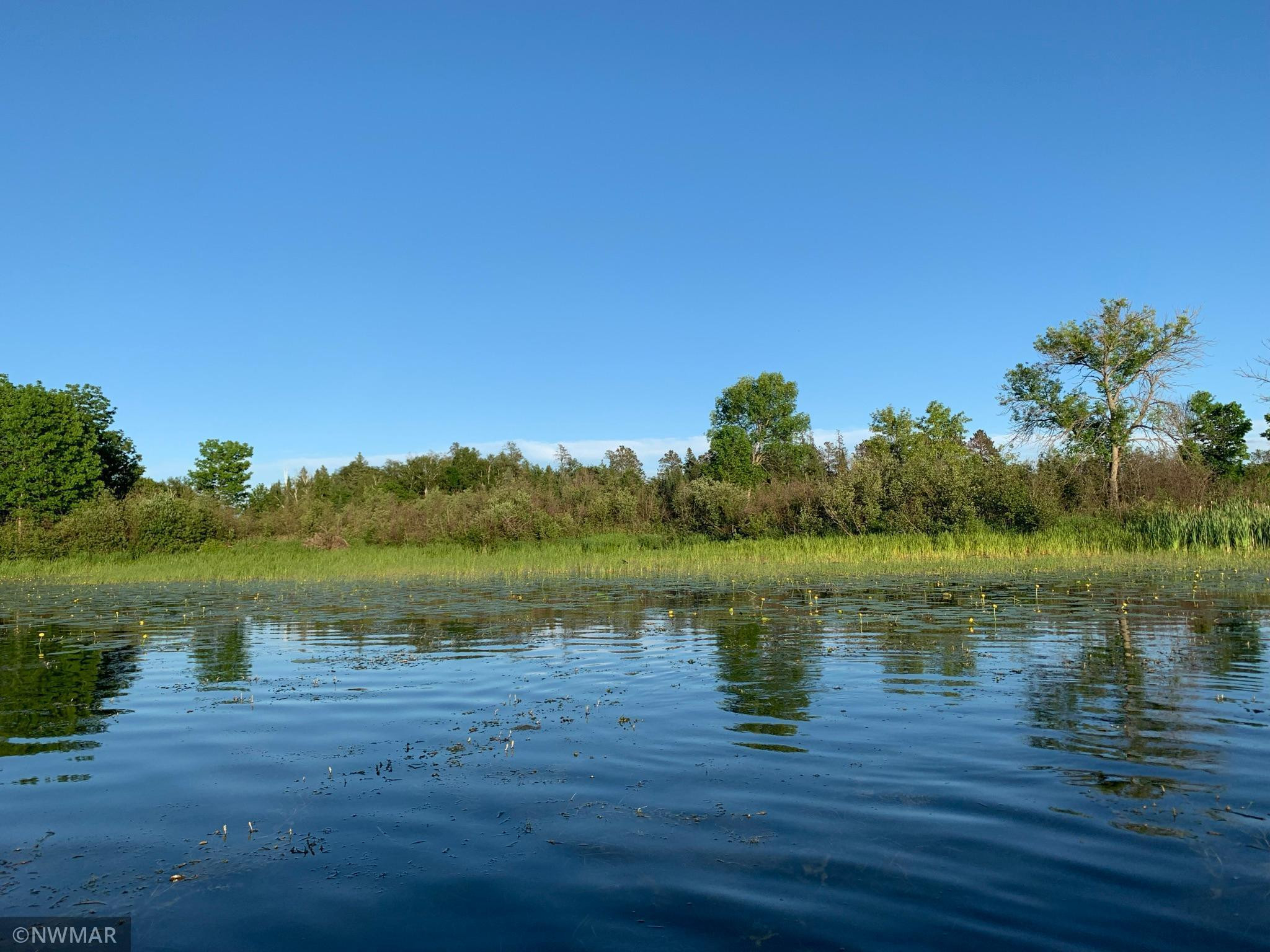 Photo for TBD Lot 27 Peninsula Court NE, Bemidji, MN 56601 - Listing #6027901 TBD Lot 27 Peninsula Court NE, Bemidji, MN 56601