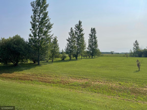 Photo for 31696 270th Street, Badger, MN 56714 - Listing #6192019 31696 270th Street, Badger, MN 56714