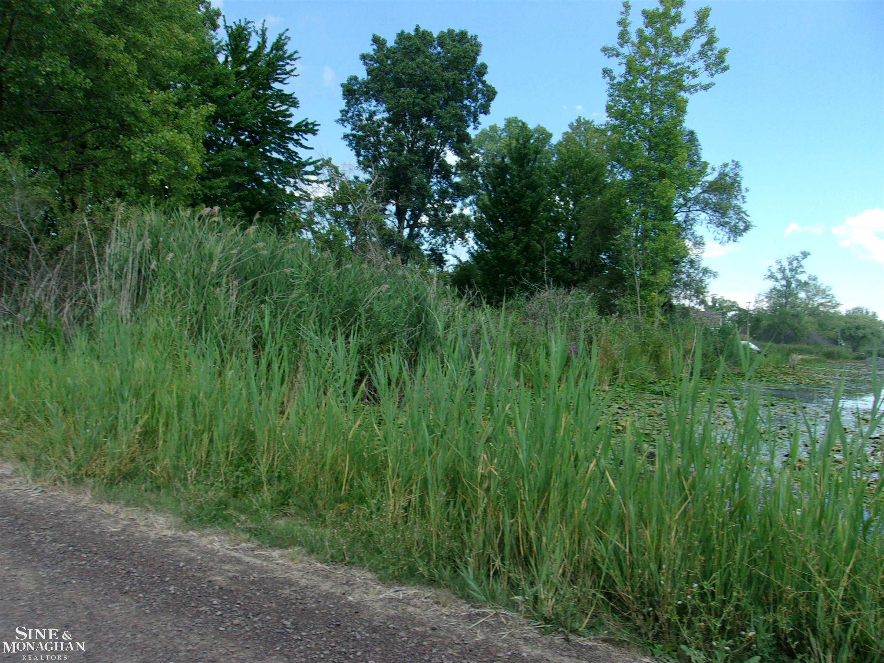 2039 Golf Course Road, MI 48028 — Photo 5