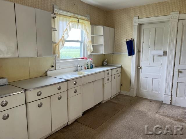 11675 W Carleton, Clayton, MI 49235 — Photo 5