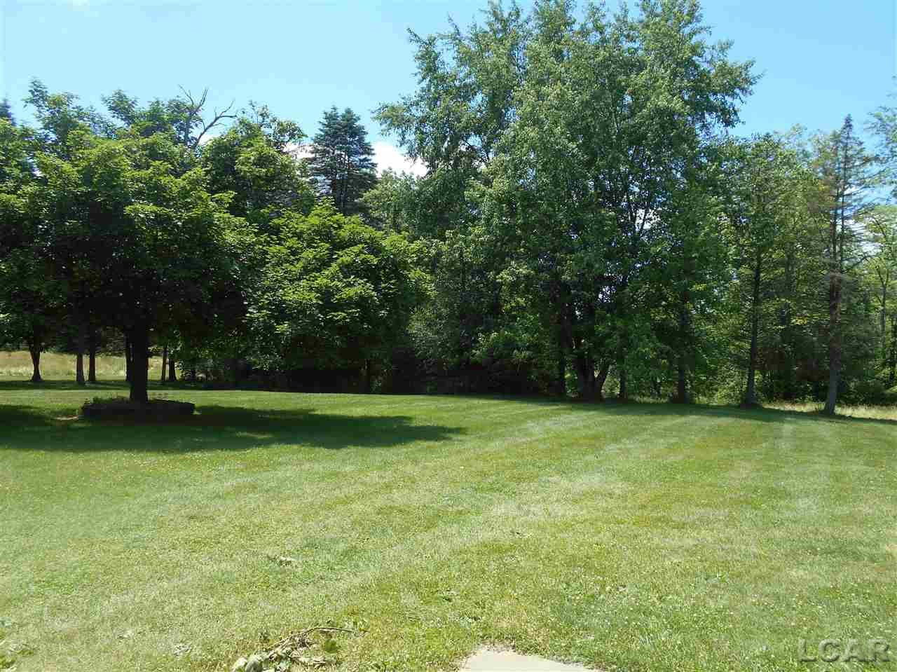 800 N Maple Grove, Hudson, MI 49247 — Photo 24