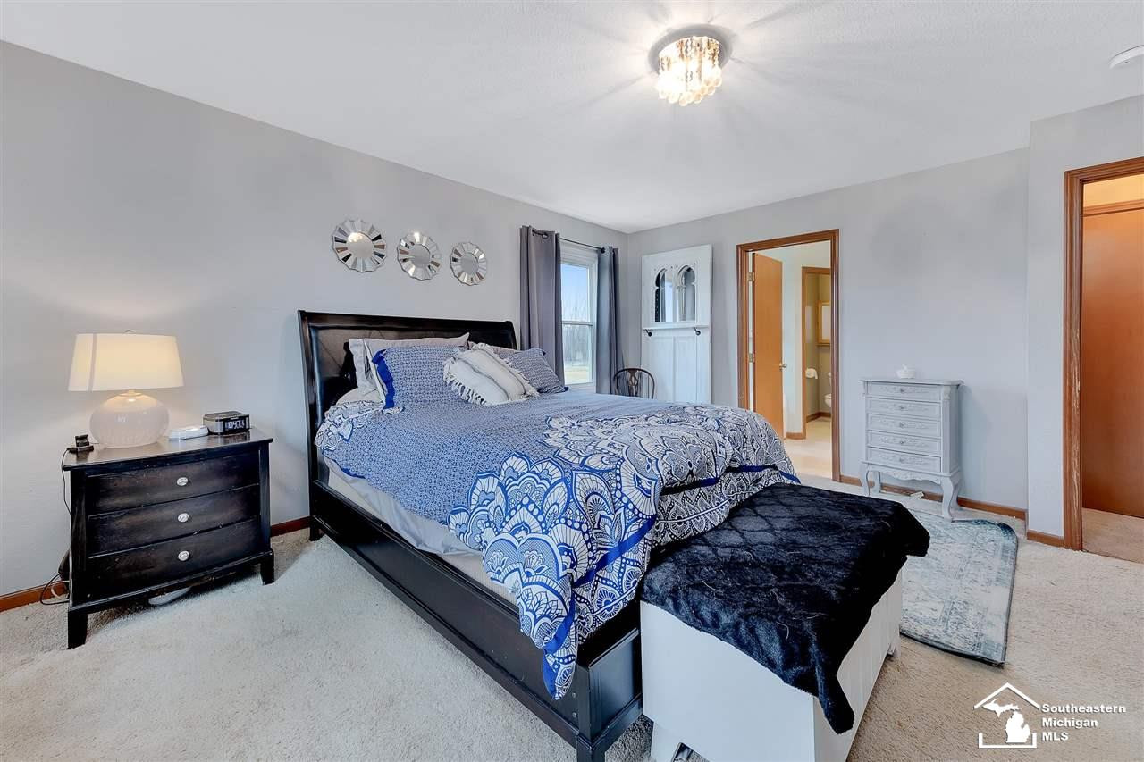 8071 SAMARIA ROAD, Riga, MI 49276 — Photo 29