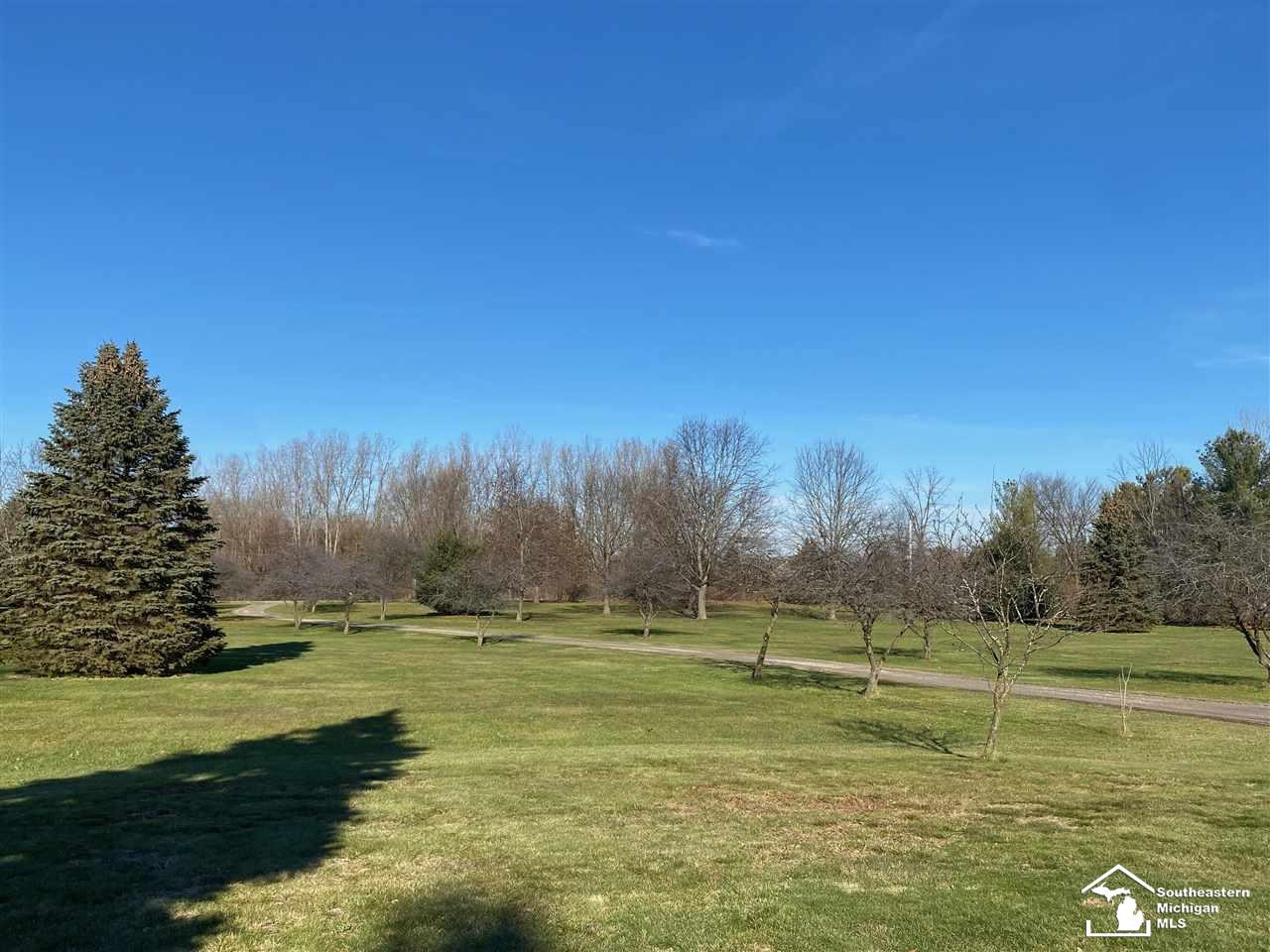 567 W Vienna, Temperance, MI 48182 — Photo 4