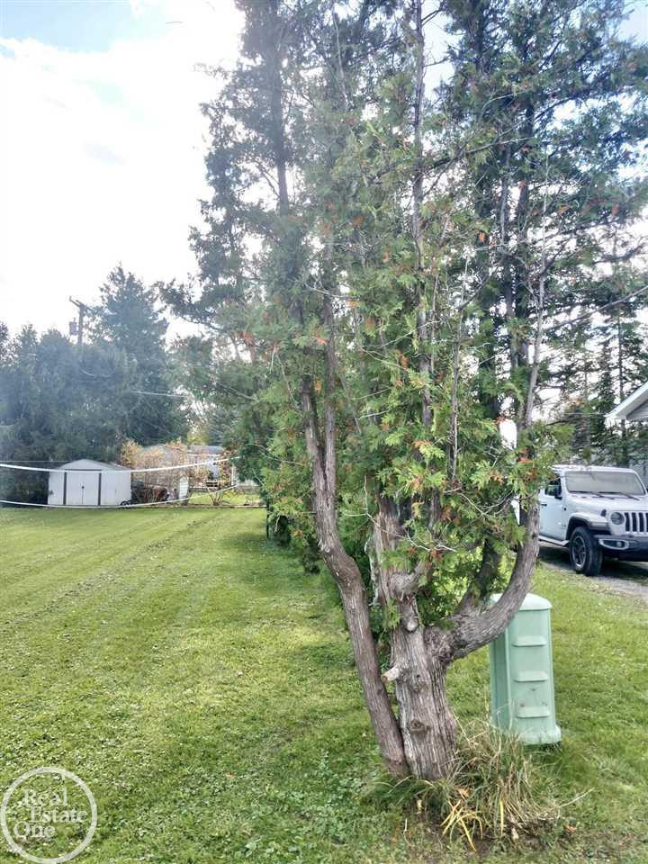 7306 Cedar, Lexington, MI 48450 — Photo 16