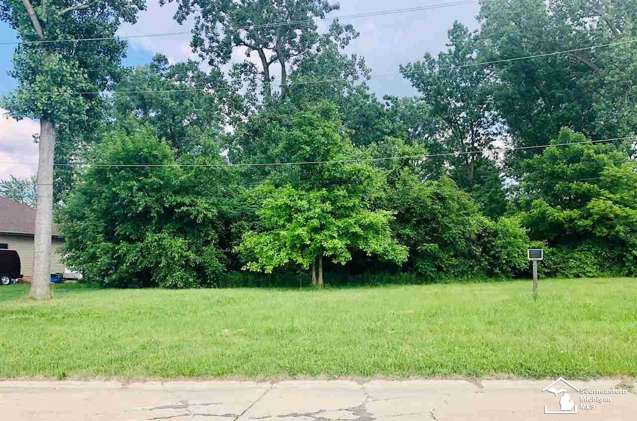 16265 Harrison Street, MI 48174