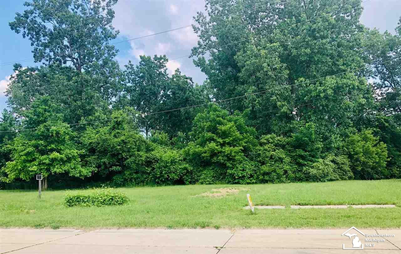 16277 Harrison Street, MI 48174