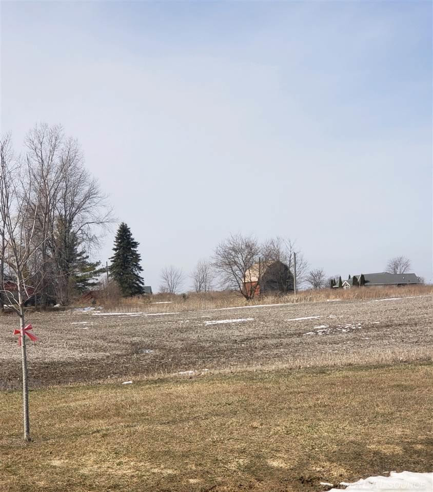 Harrington Rd/Dot Street-Parcel B Street, Croswell, MI 48422 — front exterior