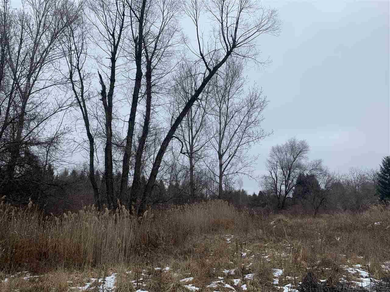 0 Weyer, MI 48065 — Photo 5