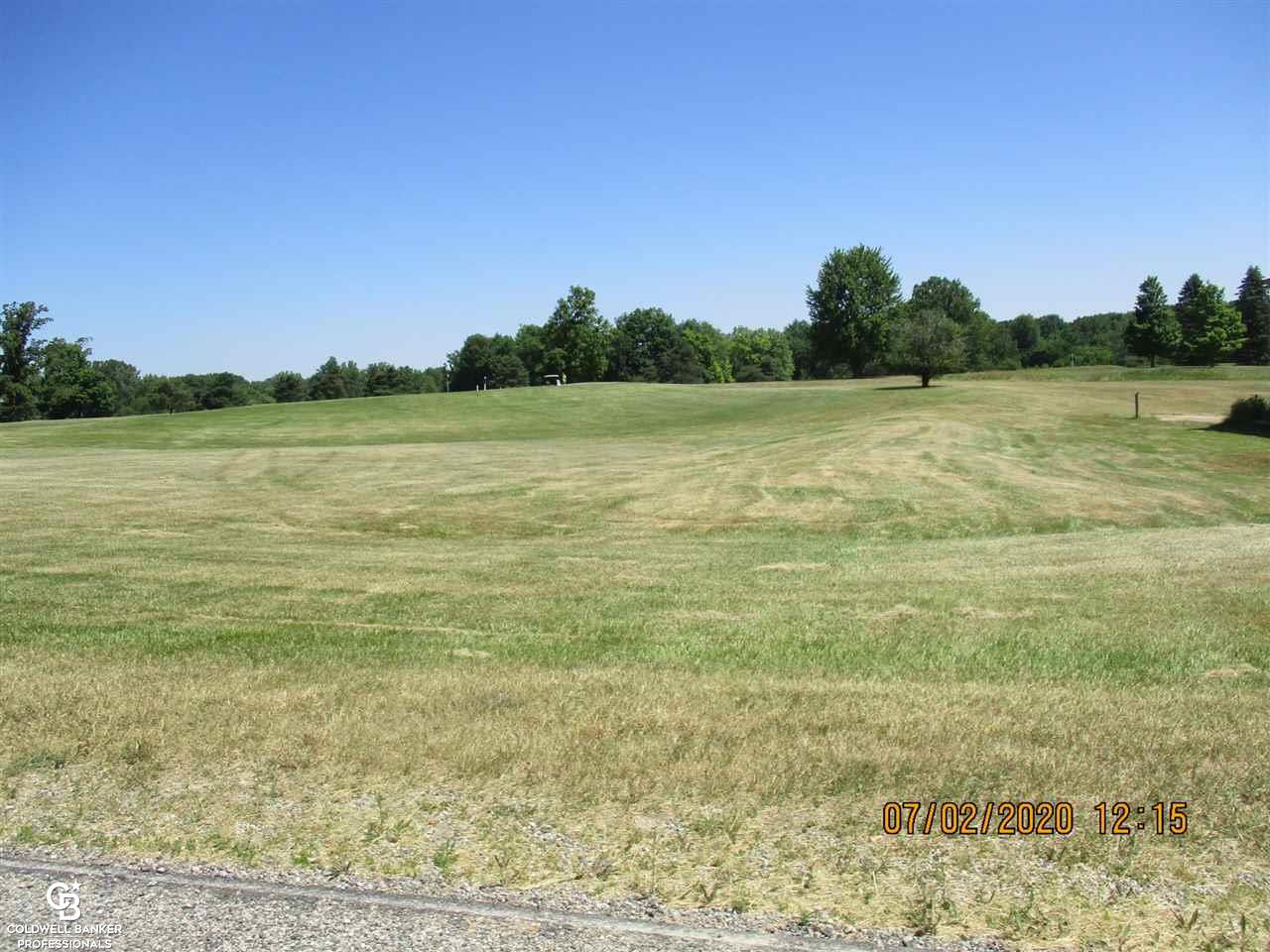 00 Belle River Lot Q Road, MI — Photo 10