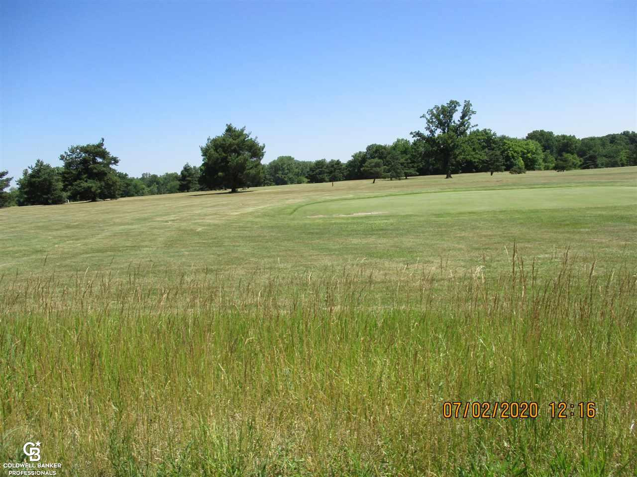 00 Belle River Lot Q Road, MI — Photo 11