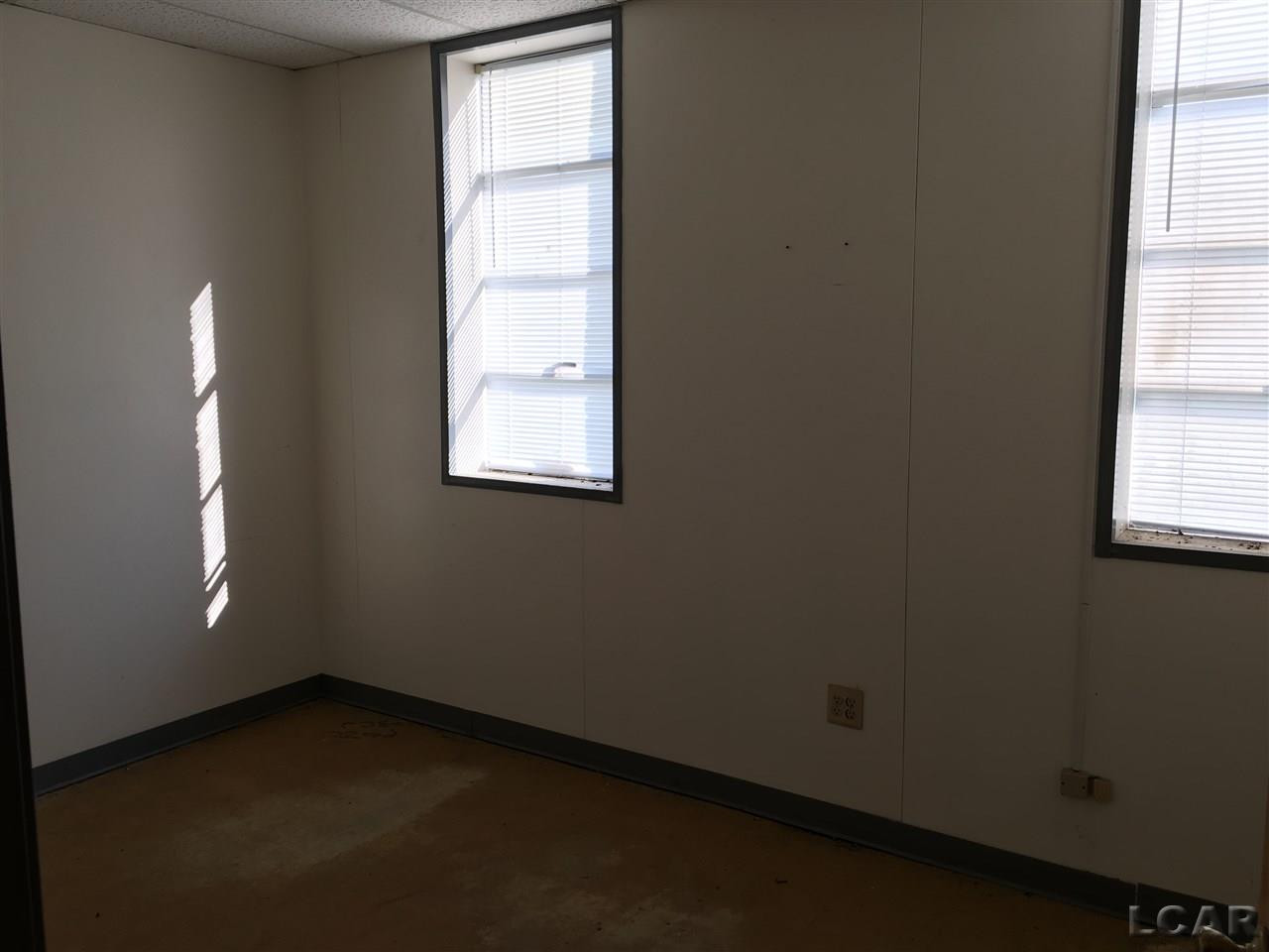 1300 WOOD ST, Monroe, MI 48161 — Photo 8