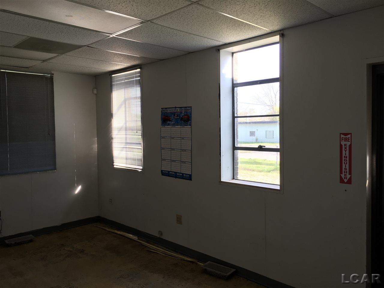 1300 WOOD ST, Monroe, MI 48161 — Photo 9