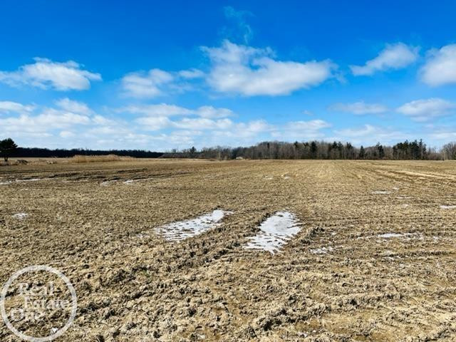 VL North Road, MI 48049 — Photo 2