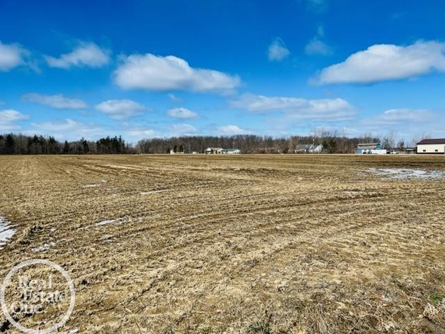 VL North Road, MI 48049 — Photo 3