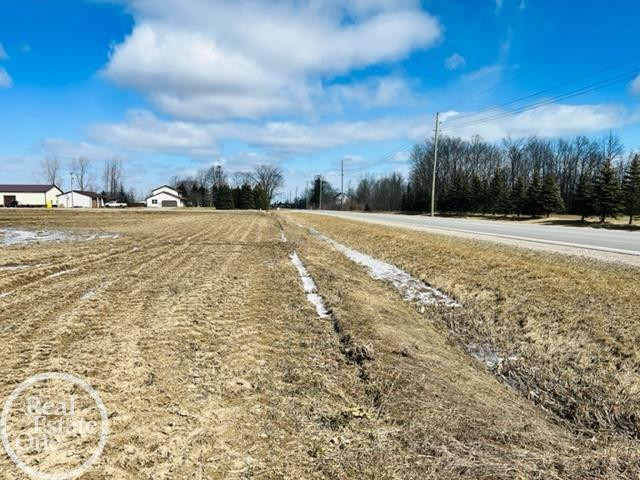 VL North Road, MI 48049 — Photo 4