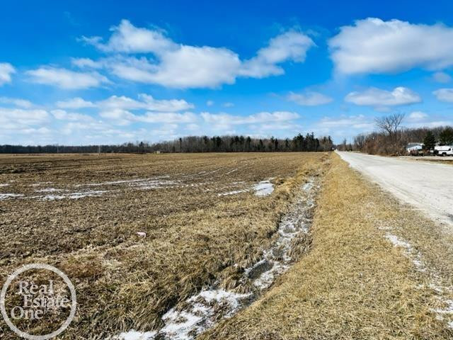 VL North Road, MI 48049 — Photo 5
