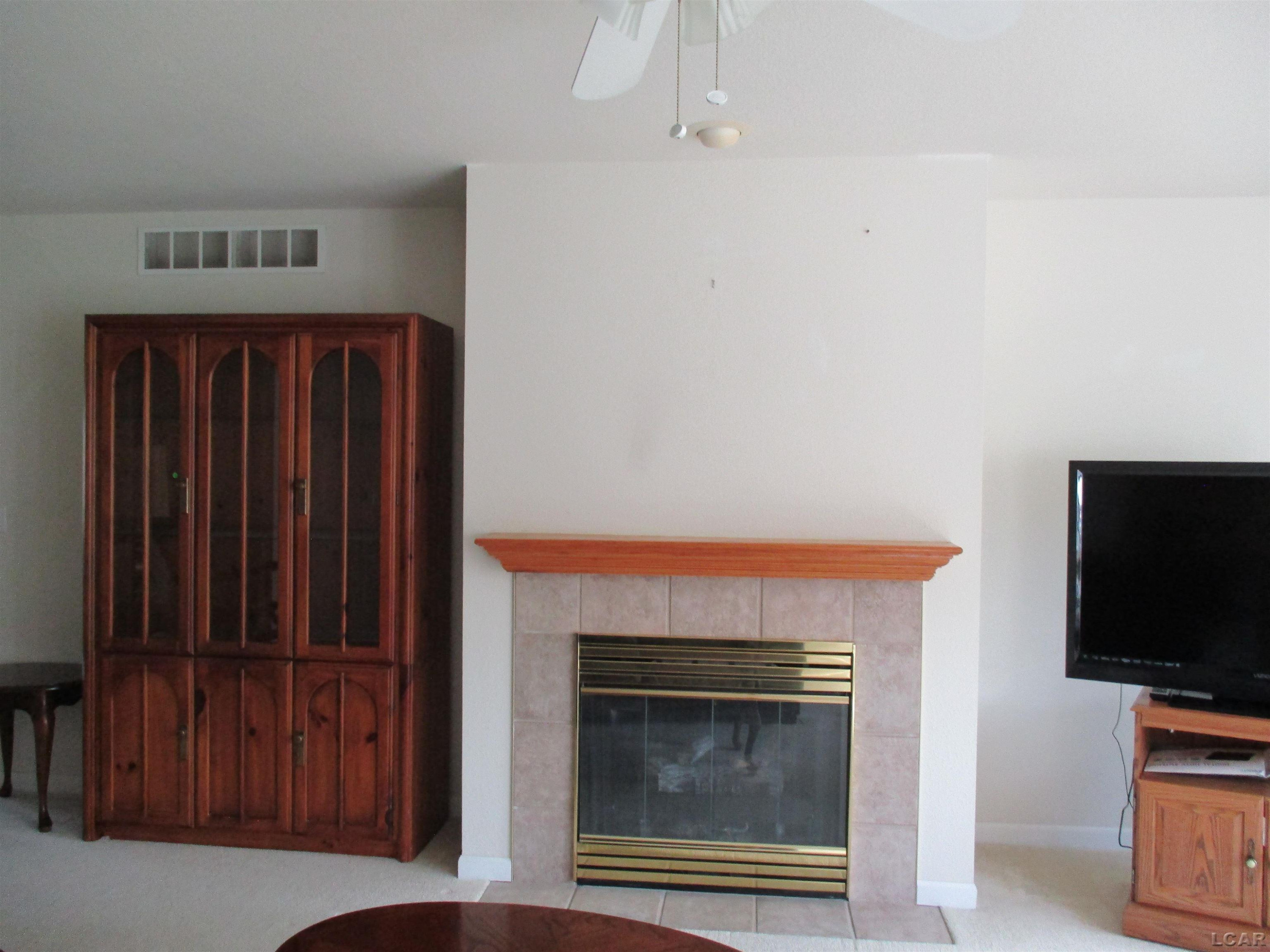 162 Trevor Trail, Onsted, MI 49265 — Photo 13