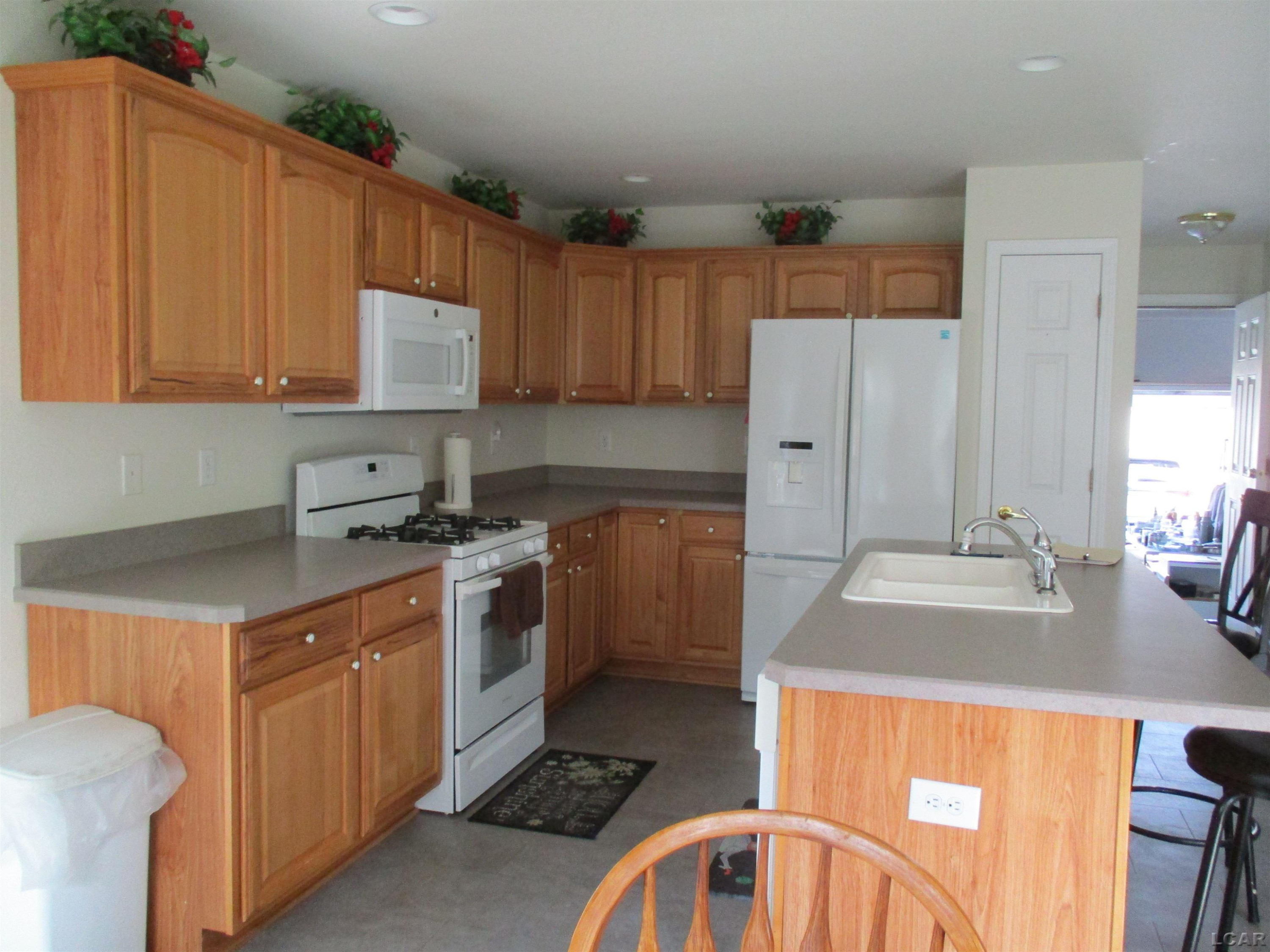 162 Trevor Trail, Onsted, MI 49265 — Photo 17