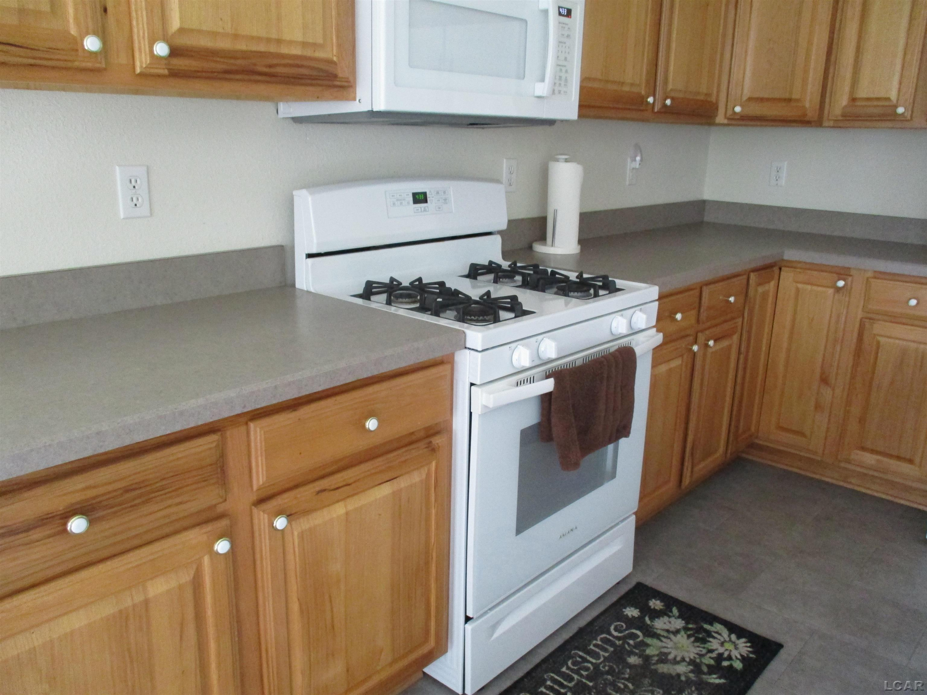 162 Trevor Trail, Onsted, MI 49265 — Photo 23