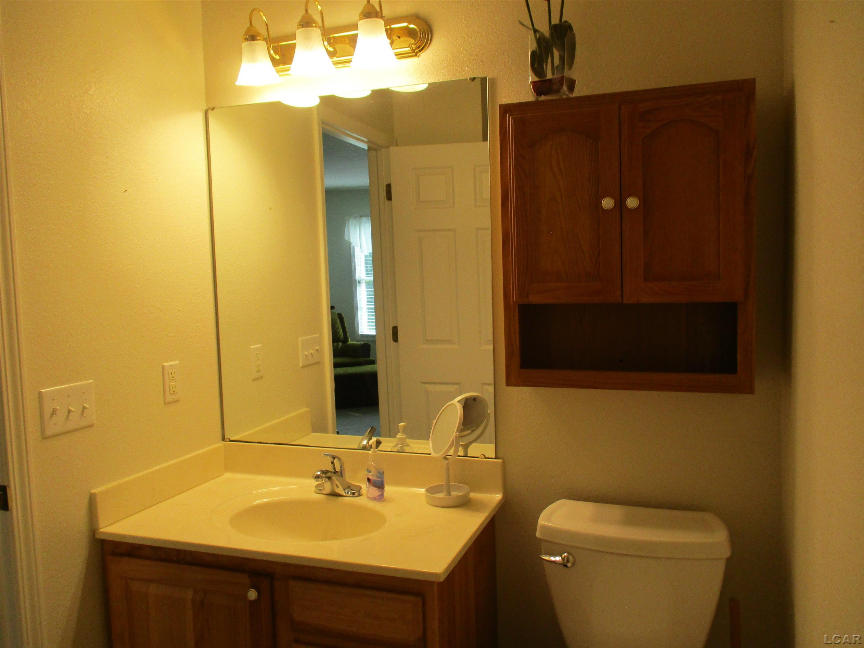 162 Trevor Trail, Onsted, MI 49265 — Photo 29