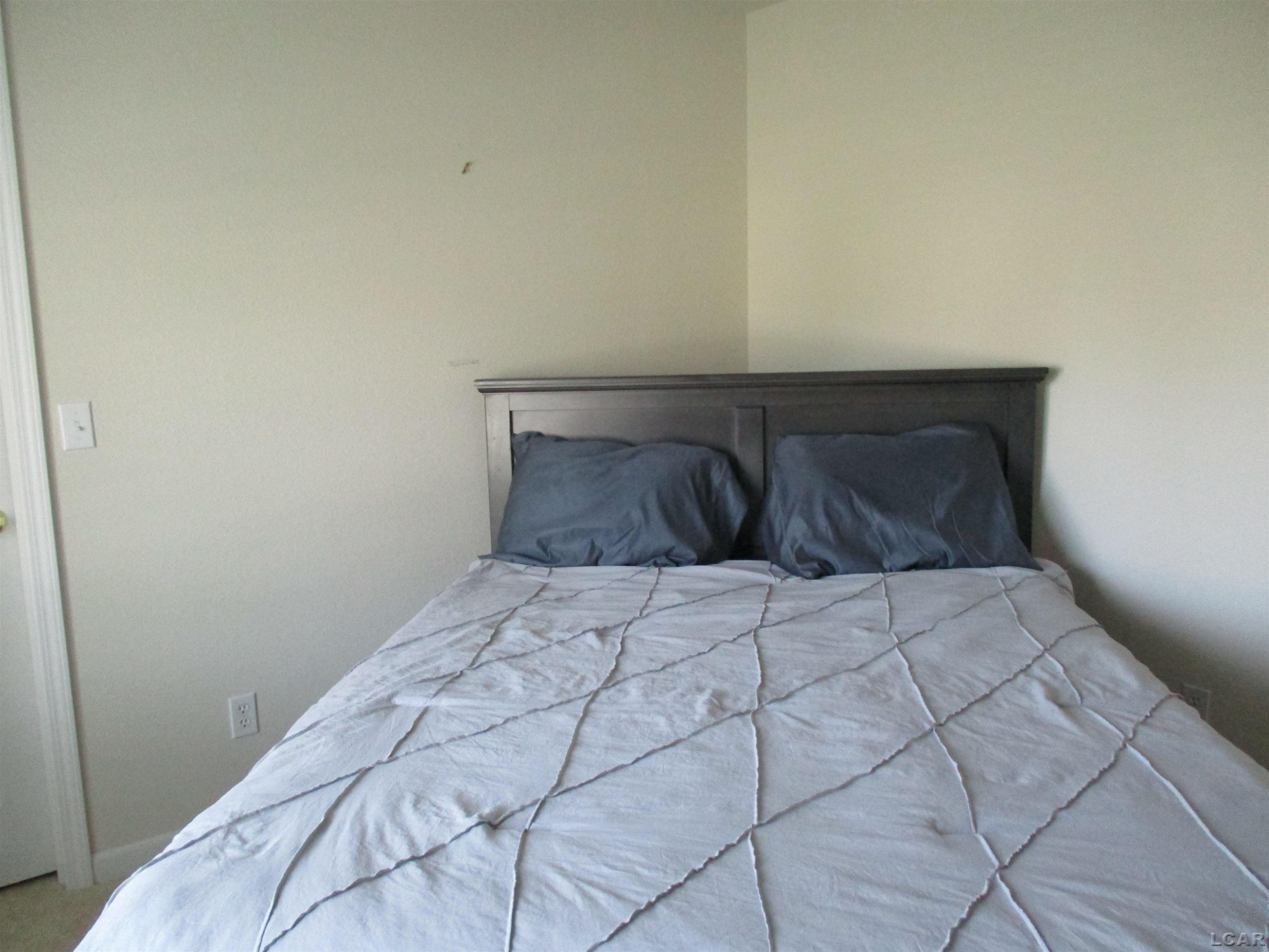 162 Trevor Trail, Onsted, MI 49265 — Photo 34