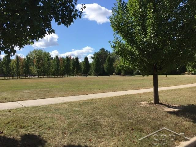 #5 Sawmill Creek Trail, 4000 Sawmill Creek Trail, Saginaw, MI 48603 — Photo 2