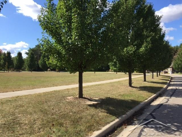 #5 Sawmill Creek Trail, 4000 Sawmill Creek Trail, Saginaw, MI 48603 — Photo 3
