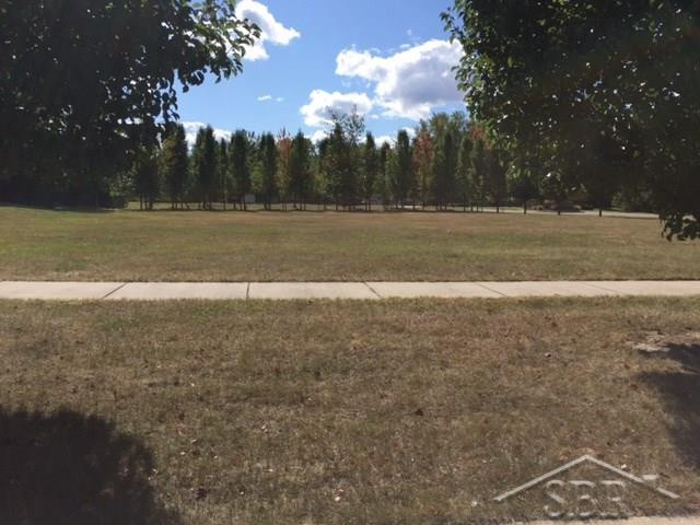 #5 Sawmill Creek Trail, 4000 Sawmill Creek Trail, Saginaw, MI 48603 — Photo 4