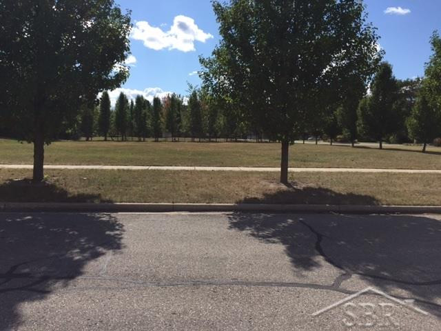 #5 Sawmill Creek Trail, 4000 Sawmill Creek Trail, Saginaw, MI 48603 — Photo 5