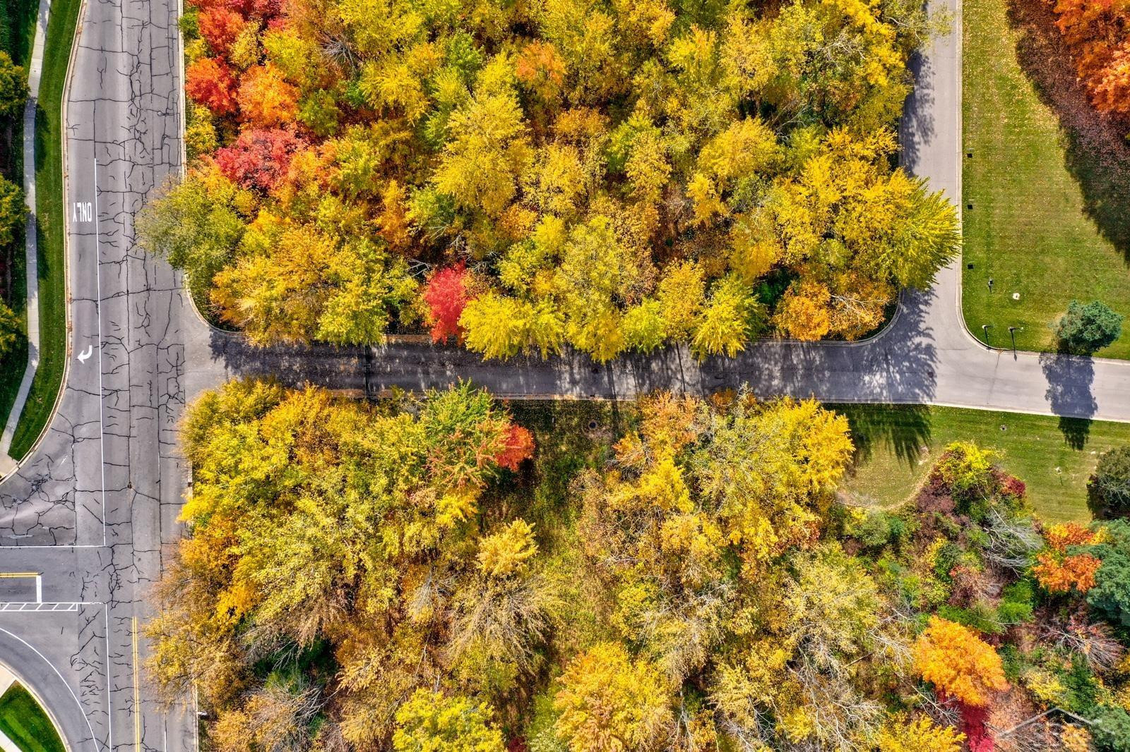 69 Bunny Trail, Saginaw, MI, 48638