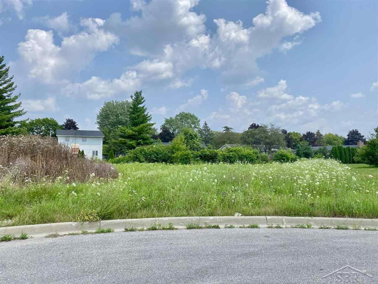 FIELDSTONE Lane, Saginaw, MI 48603 — Photo 2