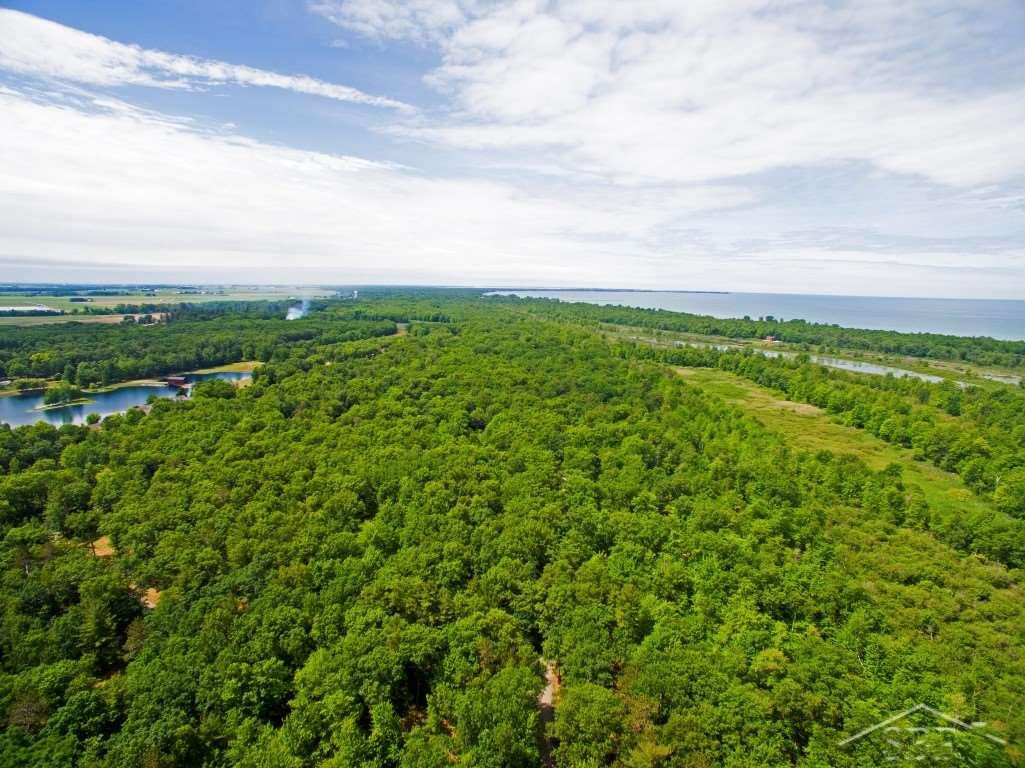 5723 Tipperary Drive, Caseville, MI 48725 — Photo 10