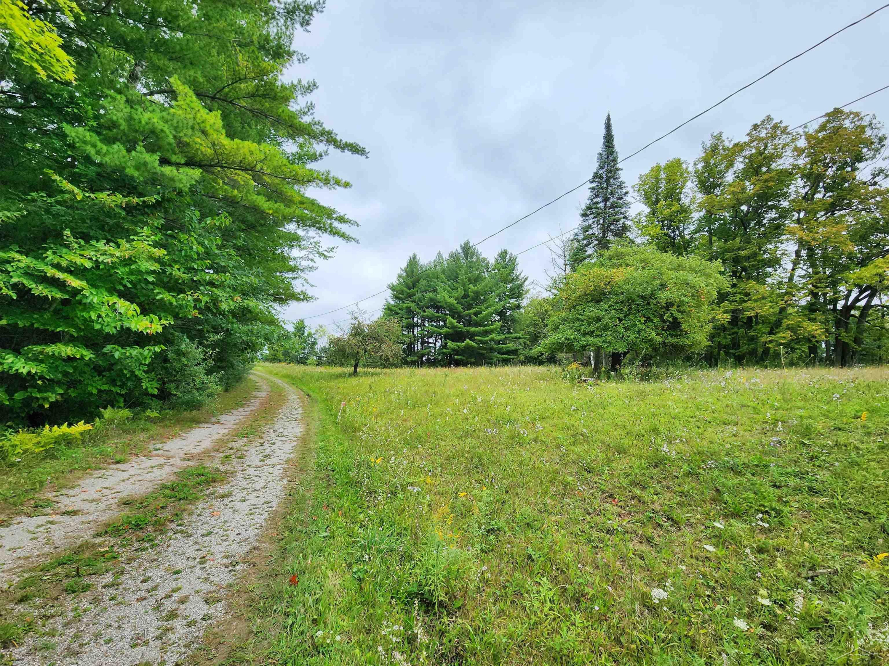 5388 Smith Road, Glennie, MI 48737 — Photo 3