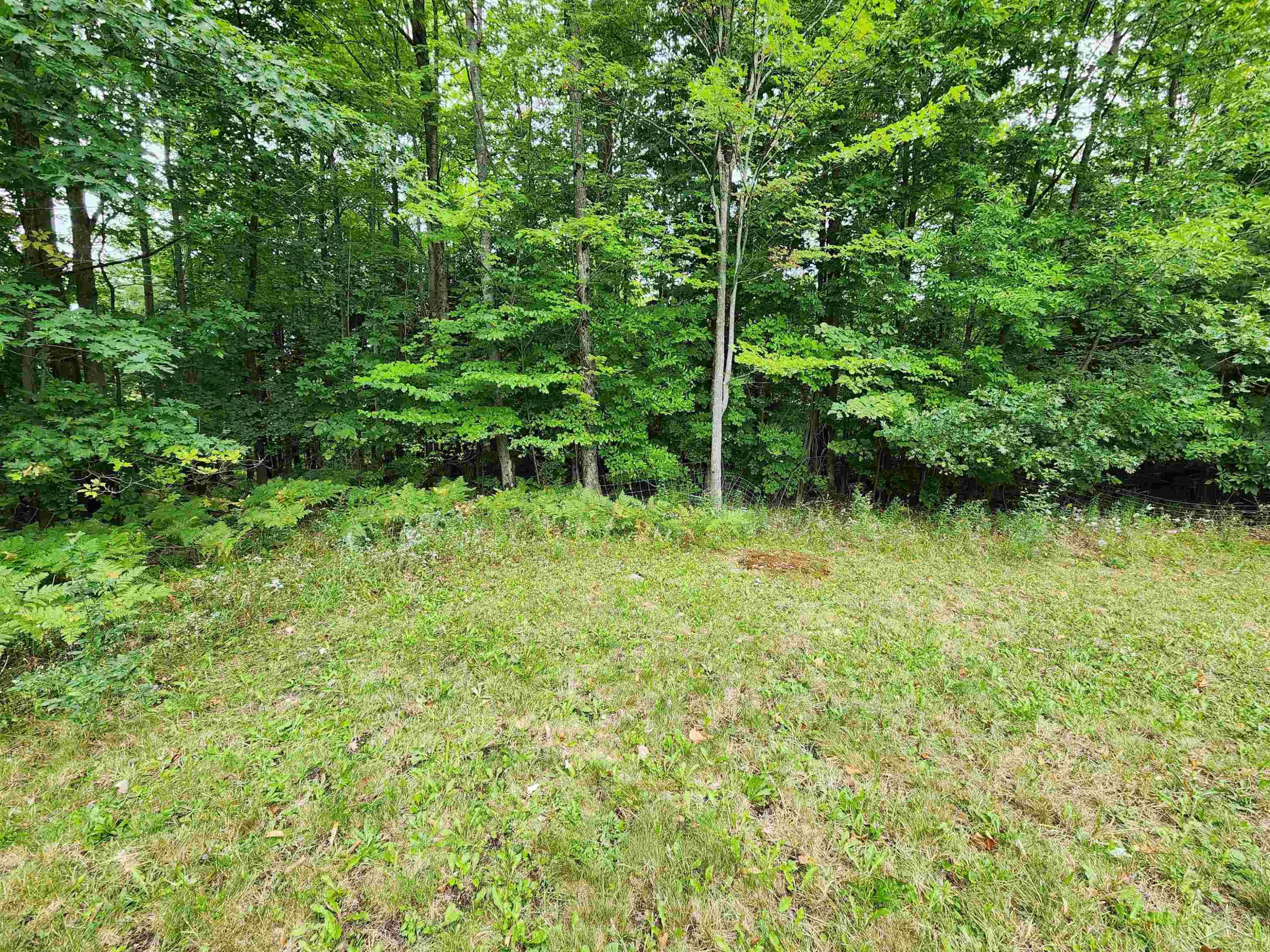 5388 Smith Road, Glennie, MI 48737 — Photo 21