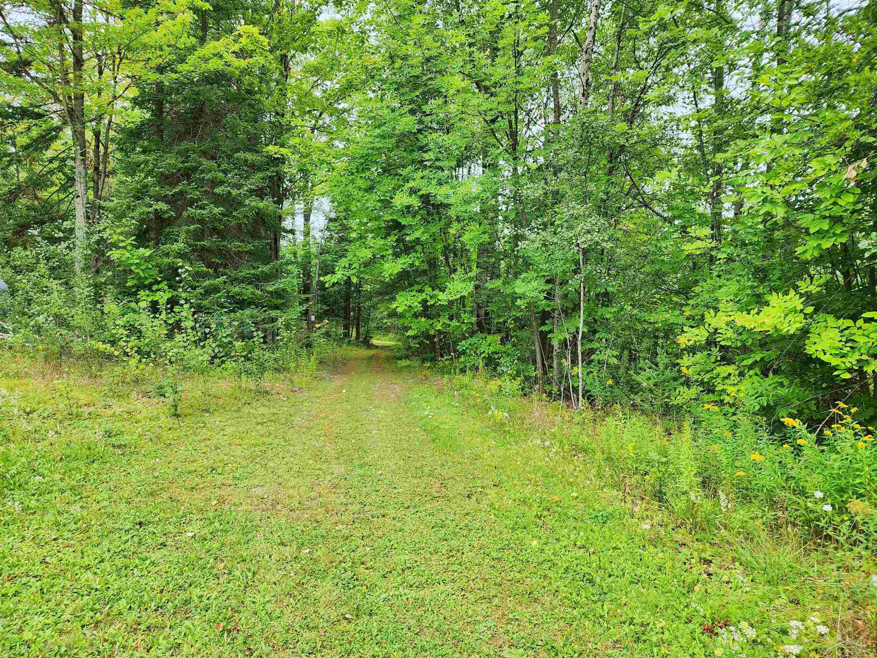 5388 Smith Road, Glennie, MI 48737 — Photo 32