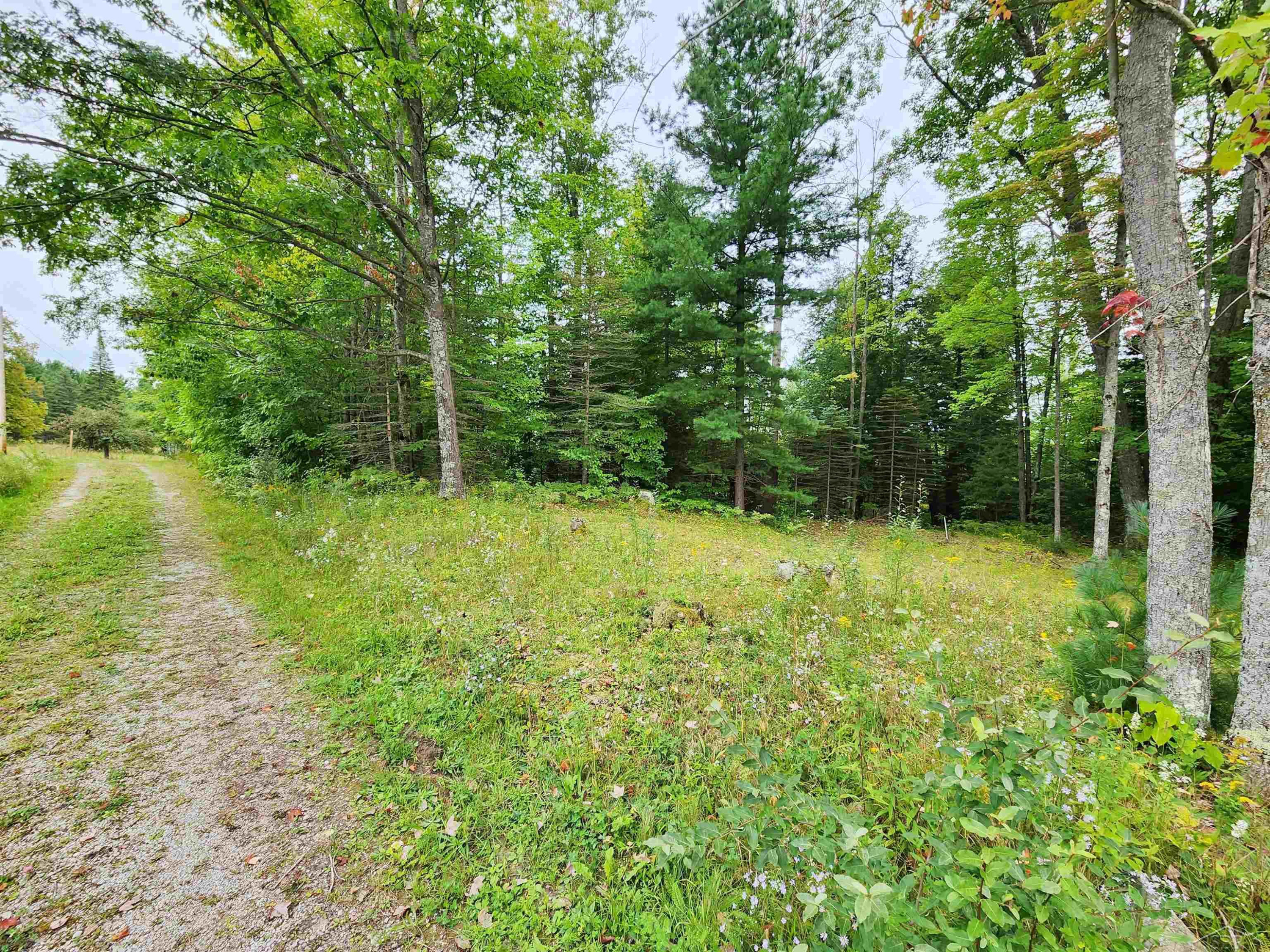 5388 Smith Road, Glennie, MI 48737 — Photo 35