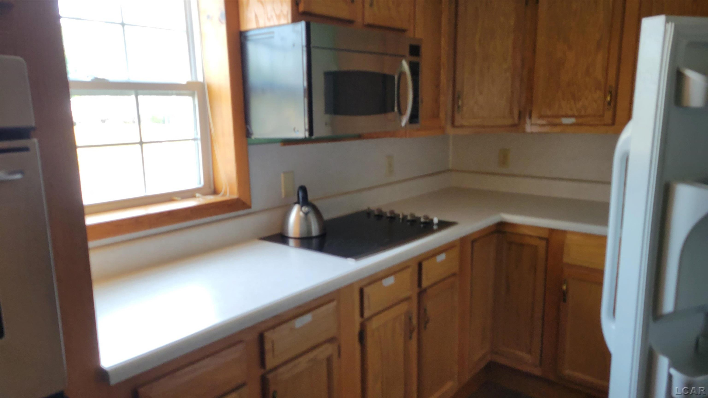 244 W Main Street, Morenci, MI 49256 — Photo 22