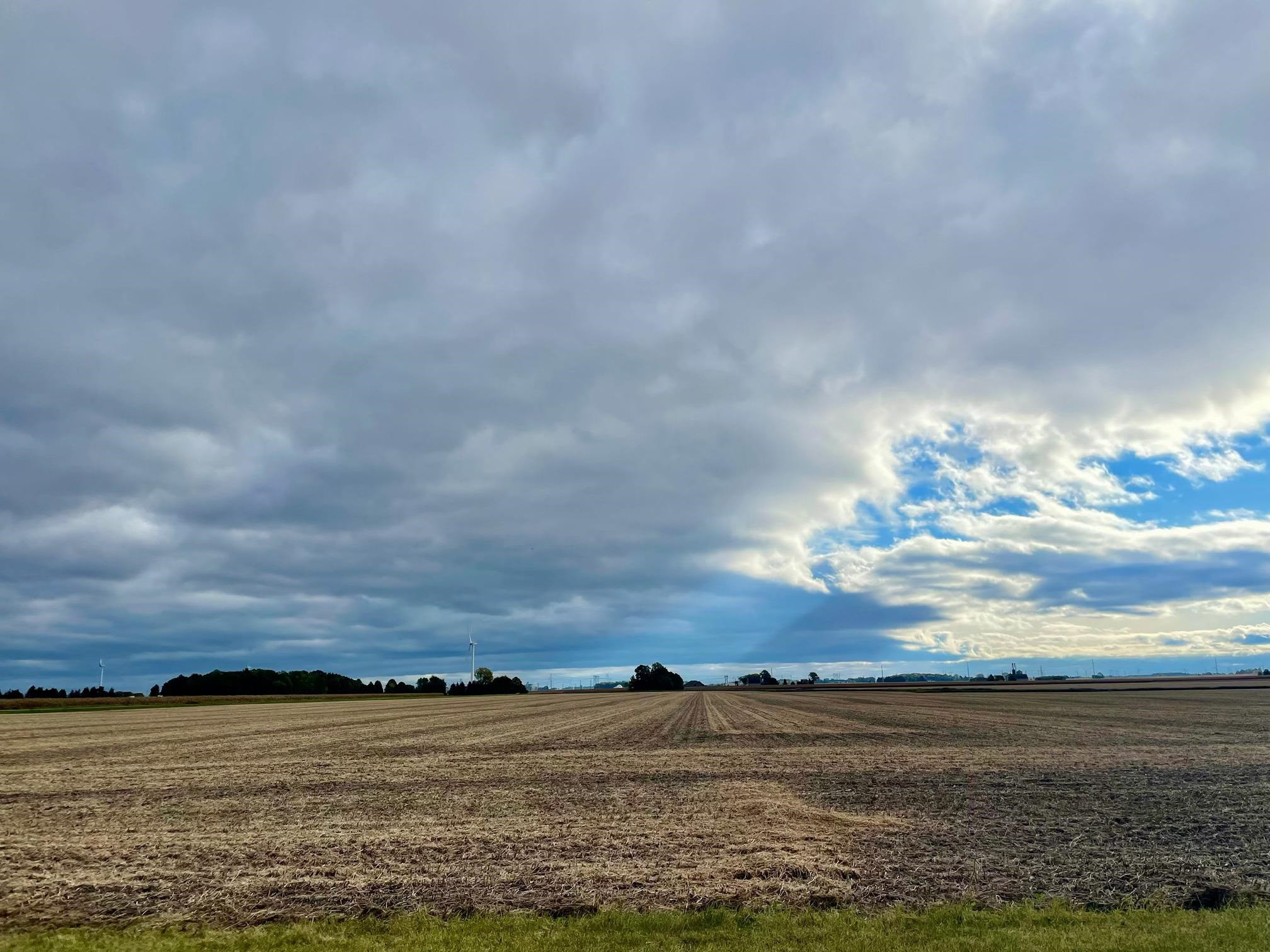 1049 S Reese Rd Road, Reese, MI 48757 — Photo 5