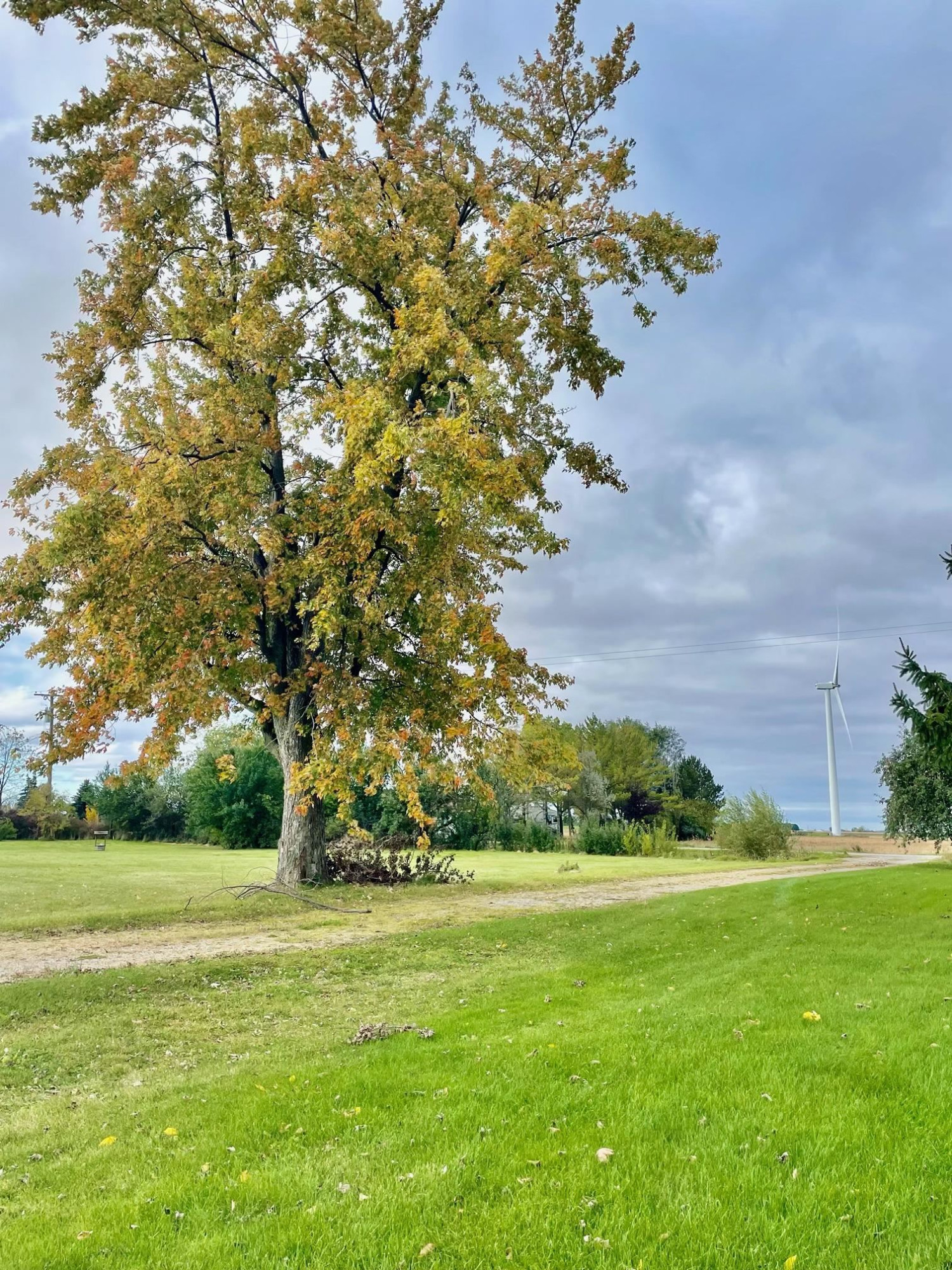 1049 S Reese Rd Road, Reese, MI 48757 — Photo 7