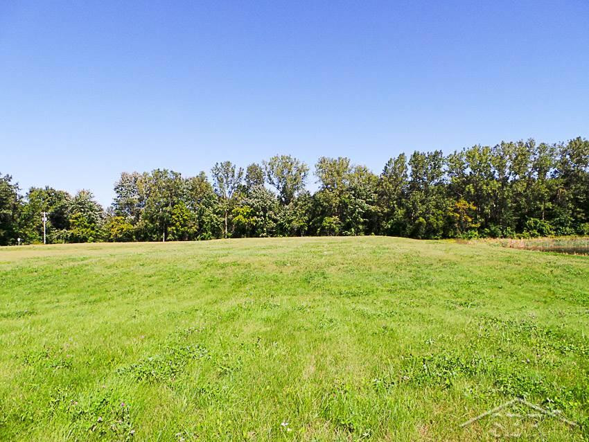 7863 Sheridan Rd Lot #2 Road, Birch Run, MI 48415 — Photo 3