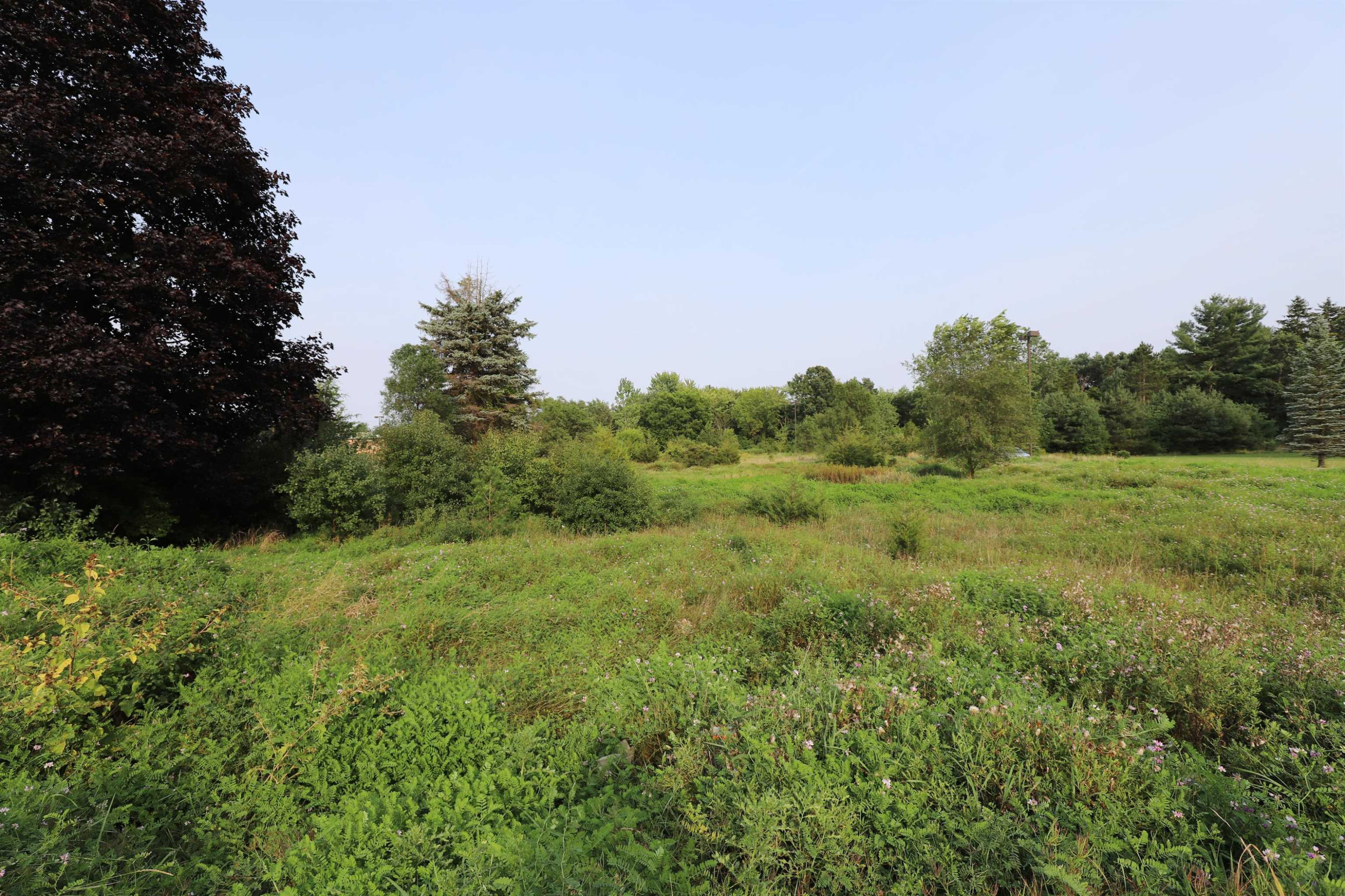 3452-3466-3480 Elms Road, Flushing, MI, 48433