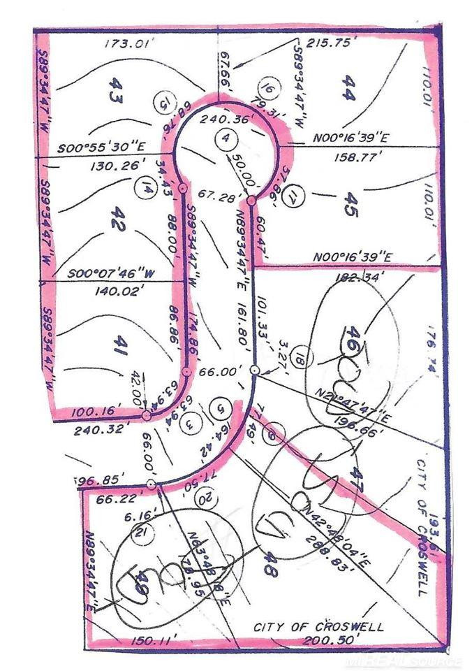 Parcel C Dot Street, Croswell, MI 48422 — Photo 3
