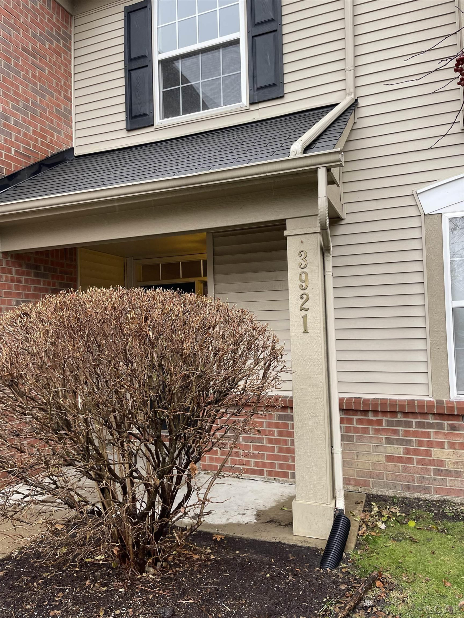 3921 Radcliff Drive, MI 48188 — Photo 2