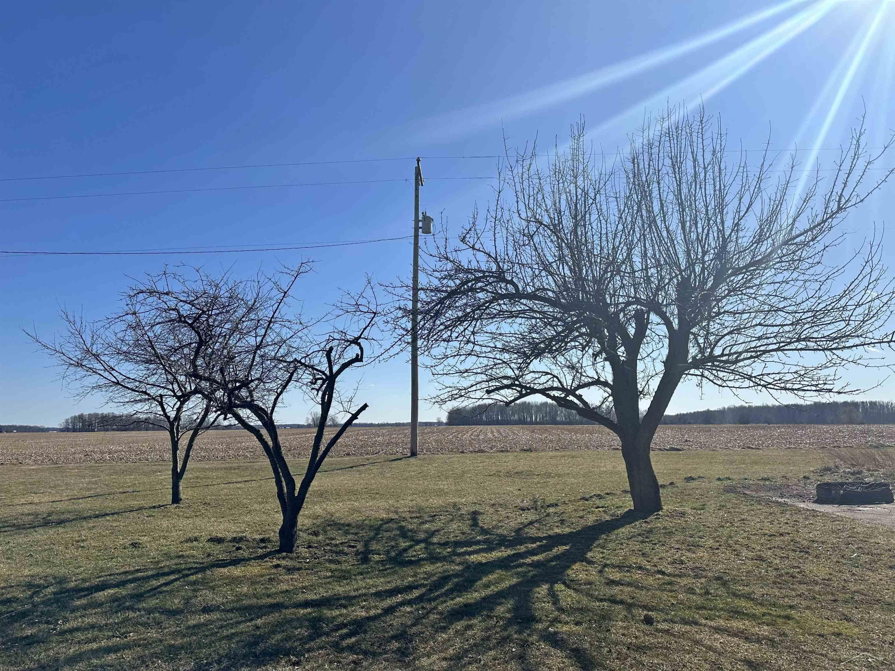 7453 W Centerline, MI 48879 — Photo 35