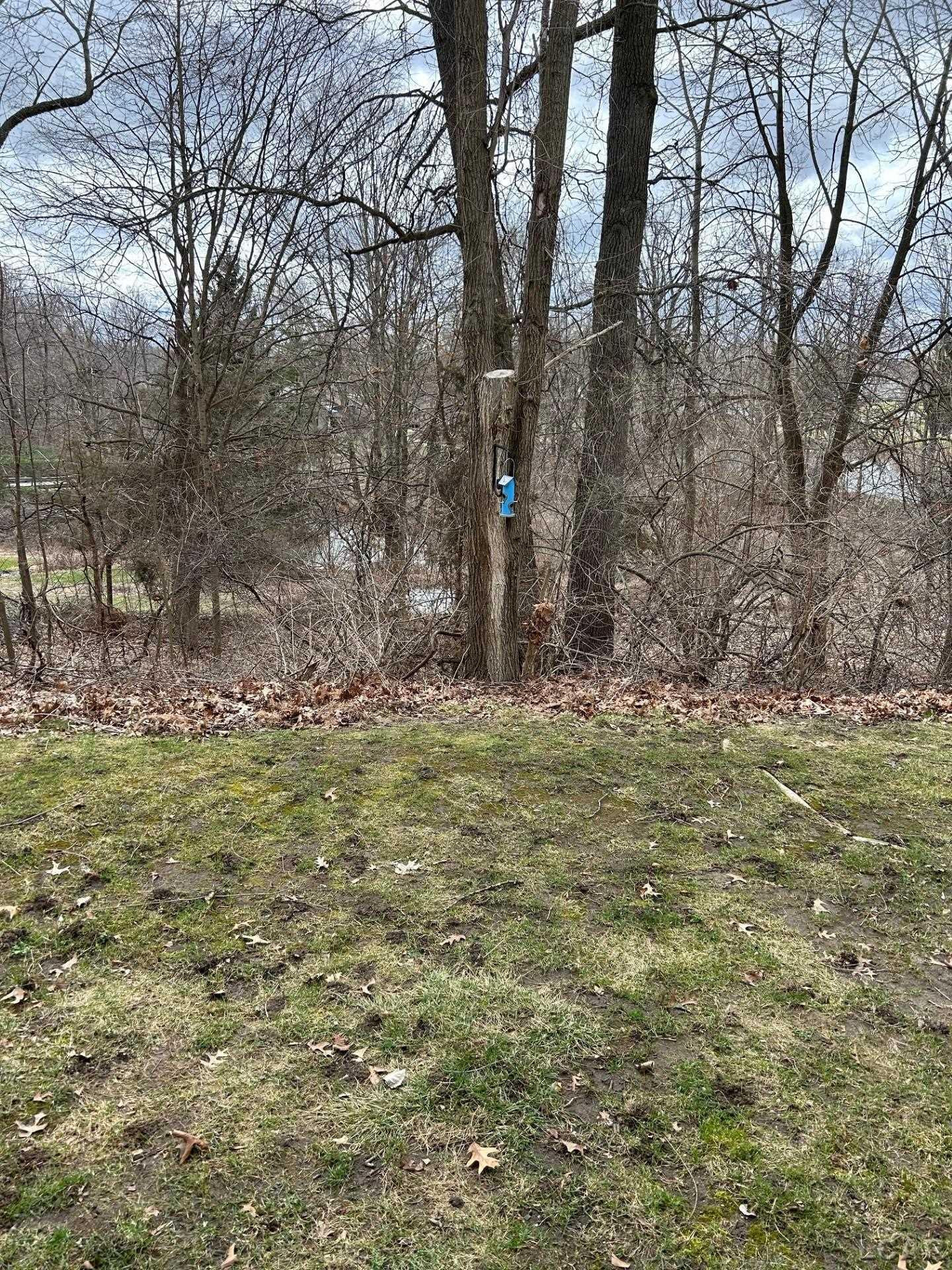 1001 E Duncan 1 D Avenue, Manchester, MI 48158 — Photo 4