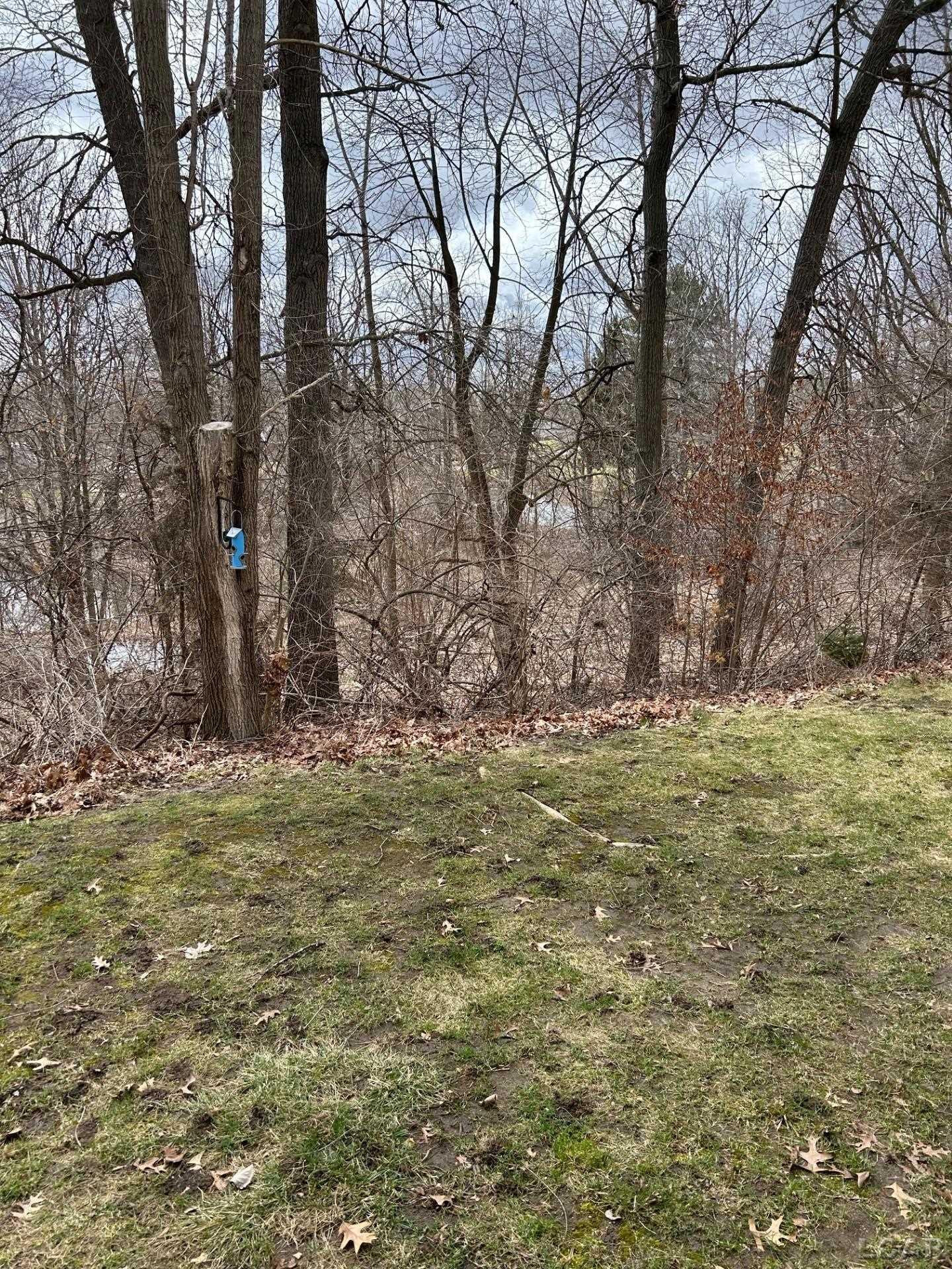 1001 E Duncan 1 D Avenue, Manchester, MI 48158 — Photo 5