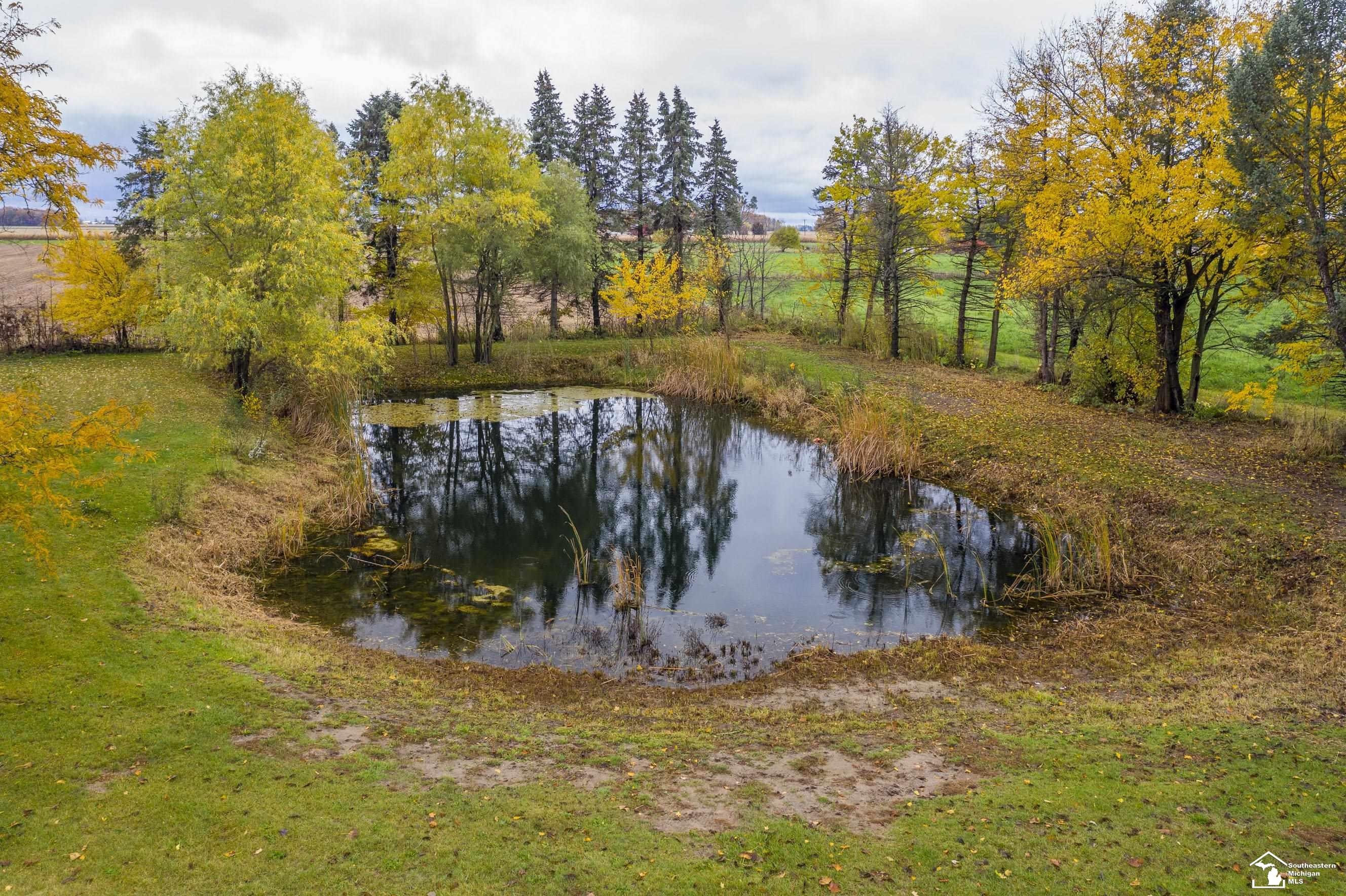 12249 Carroll Rd., Blissfield, MI 49228 — Photo 4