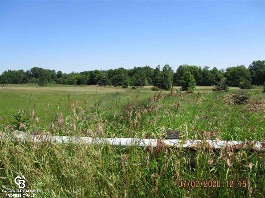 00 Belle River Lot R Road, MI — Photo 4